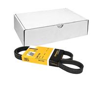 ContiTech Correa poli V 5PK1100 CONTI‑V Multirib
