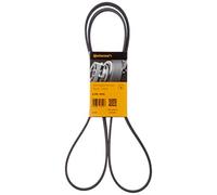 ContiTech Correa Multirib 5PK1815 CONTI-V
