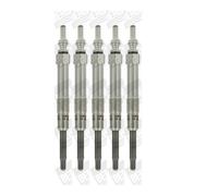 5x BORGWARNER (BERU) GN097 Bujía Para Opel Fiat Suzuki Saab Alfa Romeo