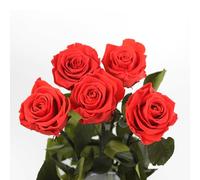 5x Rosas Rojas Eternas Naturales Preservadas con Tallo 55cm - Regalo Único para Mujer,Mamá,Novia,Abuela- Flores Infinita para Cumpleaños,San Valentín,Día de la Madre,Navidad - Envío a Domicilio