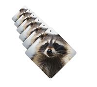 6 ambientadores de coche personalizados, tabletas de aromaterapia de mapache peludo, tarjetas perfumadas para colgar, fragancias divertidas, chips de incienso para espejo retrovisor, accesorios