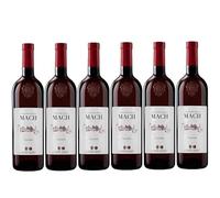 6 botellas SCHIAVA Vigneti delle Dolomiti Fundación E. Mach