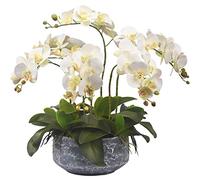 6 cabezas Orquídeas artificiales con juego de cerámica Phalaenopsis Flower Flou Foux Orchid para el hogar/dormitorio/sala/comedor decoración de la mesa de la oficina de la oficina de la oficina de la