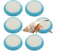 6 cuencos de agua de críquet de plástico con 6 esponjas para cangrejo ermitaño, críquet, escorpión, hormiga, isópodo, invertebrado (azul)