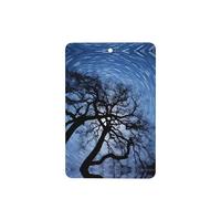 6 difusores de aroma de coche giratorios para colgar en la parte superior del árbol, rectangular, para colgar en la tableta, decoración interior del coche, armario, zapatos, armario, ambientador de