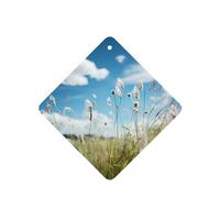 6 difusores de aroma de flores de pradera para coche, cuadrado, para colgar fragancias, tabletas, decoración interior de coche, armario, zapatos, armario, ambientador de fragancia