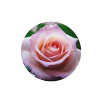 6 difusores de aroma de rosas delicadas para coche, forma redonda, para colgar fragancias, tabletas, decoración interior del coche, armario, zapatos, armario, ambientador de fragancia