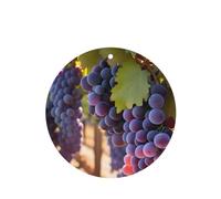 6 difusores de aroma de uvas del desierto para coche, forma redonda, para colgar fragancia, tableta, decoración interior del coche, armario, zapatos, armario, ambientador de fragancia
