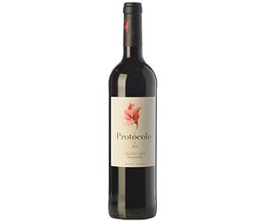 6 × Dominio de Eguren Protocolo Tempranillo Vino de la Tierra de Castilla Joven (Caja de 6 Botellas de 75 cl)