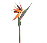 6 flores artificiales de ave del paraíso con tallos de plástico y alambre de hierro para jardín interior y decoración de bodas, lo que permite arreglos florales personalizables (naranja trompeta)
