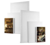 6 lienzos para pintar, lienzo estirado en blanco para pintar, lienzos de algodón, tableros de lienzo blancos para pintar óleo acrílico, suministros de arte para artistas adultos (30 x 20 cm, 20 x 15