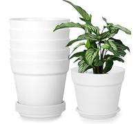 6 macetas Decorativas Interior, Maceta con Posavasos, Maceta de con Varios Agujeros de Drenaje, macetas Redondas para Dentro y en el balcón, Cactus jugosos (Blanco, 12 cm)