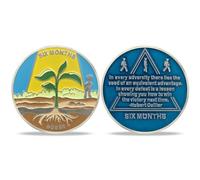 6 meses de sobriedad moneda AA chips y medallones,ficha de sobriedad chip de recuperación del obriety (6 mes)
