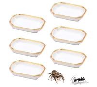 6 mini platos de alimentación para hormigas de plástico para hormigas, escorpión, grillo, caracol, cangrejo, Manti milpiés, insectos pequeños