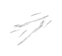 6 Pegatinas de Vinilo con Rayas for autocaravanas, Furgonetas, Cajas de Caballos, caravanas, autocaravanas, Accesorios de Tuning, calcomanías Decorativas for Coches.(Gray)