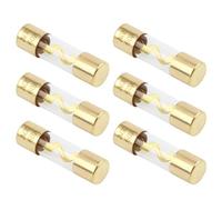 6 piezas 60A AGU fusible cristal plateado 12V Fusibles audio del coche, 60A fusible AGU coche para coche marino auto audio amplificadores sonido coche estéreo seguridad protección tubo vidrio