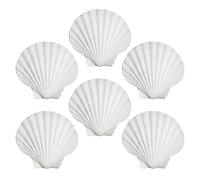 6 Piezas De Vieiras, Materiales Artesanales, Decoración De Conchas, Conchas De Cocina, Decoraciones para El Hogar, Joyería Creativa De Conchas DIY