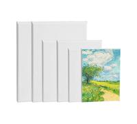 6 piezas Lienzo de pintura de artista, Lienzos de algodón, Juego de lienzo para pintar, Lienzos de algodón para pintar, adecuadas para pintura al óleo, pintura gouache, pintura acrílica