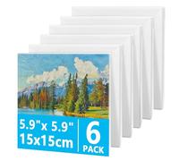 6 Piezas Lienzo para Pintar, 15 x 15 cm Lienzo de Algodón Blanco, Mini Lienzo para Pintura Acrílica y al Óleo, Ideal para Artistas, Principiantes, Niños, Decoración del Hogar y Proyectos de Bricolaje