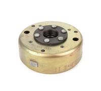 6 Poles Magneto Flywheel Stator Fit for GY6 125cc 150cc Engine Quad Dirt Bike ATV Buggy