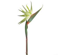 6 tallos artificiales de pájaro del paraíso para decoración de jardín interior, boda y eventos con aspecto realista y soporte de alambre de hierro flexible (verde trompeta)