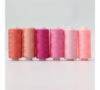 6 uds 200 yardas hilo de coser máquina bordar accesorios reparación del hogar DIY costura artesanal poliéster conjunto Multicolor para Bordado(Set 1)