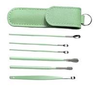 6 Unids/set Herramienta de Limpieza de Oídos Kit de Limpieza de Eliminación de Cera de Oídos de Acero Inoxidable con Estuche de Cuero PU para Niños y Adultos Herramienta, Eliminación de Cera, Limpiad