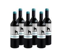 6 × Valderiz Valdehermoso 9 Meses Tempranillo Ribera del Duero Joven (Caja de 6 Botellas de 75 cl)