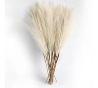 6 varillas artificiales de hierba de las pampas de 50 cm, para decoración de mesa floral, decoración de bodas, hogar, Navidad, color beige