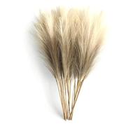 6 varillas artificiales de hierba de las pampas de 50 cm, para decoración de mesa floral, decoración de bodas, hogar, vacaciones, color café claro