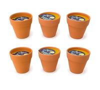 6 Velas de Citronela Antimosquitos en Cuenco de Tierra Para Exterior | Velas Decorativas Aromáticas con Suave Olor a Limón | Vela Anti Mosquitos Para Jardín, Terraza, Camping y Picnic