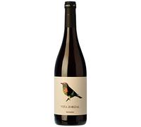 Garnacha 2024 - Viña Zorzal