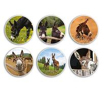 6 x 10 cm burro vinilo pegatinas - Divertido animal de granja caballo animales ecuestres mascotas Scrapbooking regalo #78985