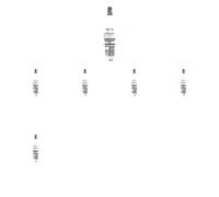6 x Bujía TOPRAN para AUDI, SEAT, SKODA, VW 100 C4, 80 B4, A2, A3