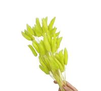 60 colas de liebre de flores secas de 23.6 pulgadas, resistentes a la decoloración, para decoración de interiores del hogar, centros de mesa, bodas, fiestas, centros de mesa, fácil cuidado