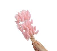 60 colas de liebre de flores secas de 23.6 pulgadas, resistentes a la decoloración, para decoración de interiores del hogar, centros de mesa, bodas, fiestas, centros de mesa, fácil cuidado