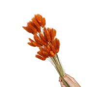 60 colas de liebre de flores secas de 23.6 pulgadas, resistentes a la decoloración, para decoración de interiores del hogar, centros de mesa, bodas, fiestas, centros de mesa, fácil cuidado