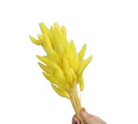 60 colas de liebre de flores secas de 23.6 pulgadas, resistentes a la decoloración, para decoración de interiores del hogar, centros de mesa, bodas, fiestas, centros de mesa, fácil cuidado