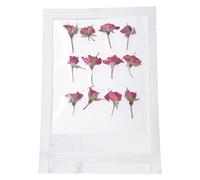 60 pétalos de flores prensadas secas reales para arte de uñas, para hacer colgantes de uñas, decoraciones florales, impresiones florales