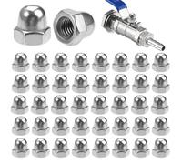 60 Piezas Tuercas Ciegas de M6, Tapones Hexagonales con Rosca Hembra
