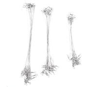 60Pcs Cable del Líder de Pesca de Acero Inoxidable Resistente Sedal con Giratorios y Encaje 15/20/25 cm (Color : Plata) Artículos De Pesca Línea De Pesca