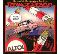 60's Compilation / BEAT / Surf Compilation - Teenage Rebels- Friday On My Mind