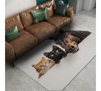 60x90cm Alfombra Retratos Animales para la Vida en el Dormitorio Estampados Gatos y Caballos Lavable Antideslizante Suave Pelo bajo Alfombra Grande para Interiores para Mujeres Adolescentes
