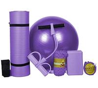 65 cm 75 cm bola de la aptitud contra estallar-bola de yoga bola suiza con bomba manual Uso de Home Office gimnasia del embarazo, el nacimiento y la pérdida de peso ejercicio,Purple, Equipo de gimnasio en casa