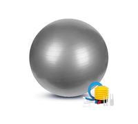 (65 cm,Silver)Anti-Burst Exercise Gym Ball for Pilates Yoga Core Training with Pump