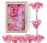 65 piezas Gypsophila seca rosa Gypsophila Gypsophila Flores secas artificiales Gypsophila Flores secas para bodas, mini decoración del hogar DIY