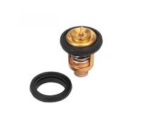 66M-12411 Termostato de 60 grados for motor fueraborda de 4 tiempos F5-F15 66M-12411-00 6M-12411-01 motor de barco