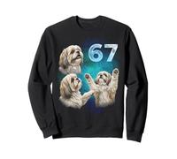 67 Meme Shih Tzu Syol Aullando a la Luna Seis Siete Sudadera