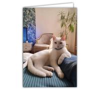 68-4018 - Tarjeta de fotos de gato, color blanco, con diseño de animales, bonito reposo, 17 x 11,5 cm, interior blanco para escribir tu mensaje. Viene con un sobre. Creación y fabricación francesa