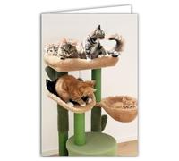 68-4026 - Tarjeta de fotos con árbol para gatos (animales lindos), diseño cerrado de 17 x 11,5 cm, interior blanco para escribir tu mensaje. Viene con un sobre
